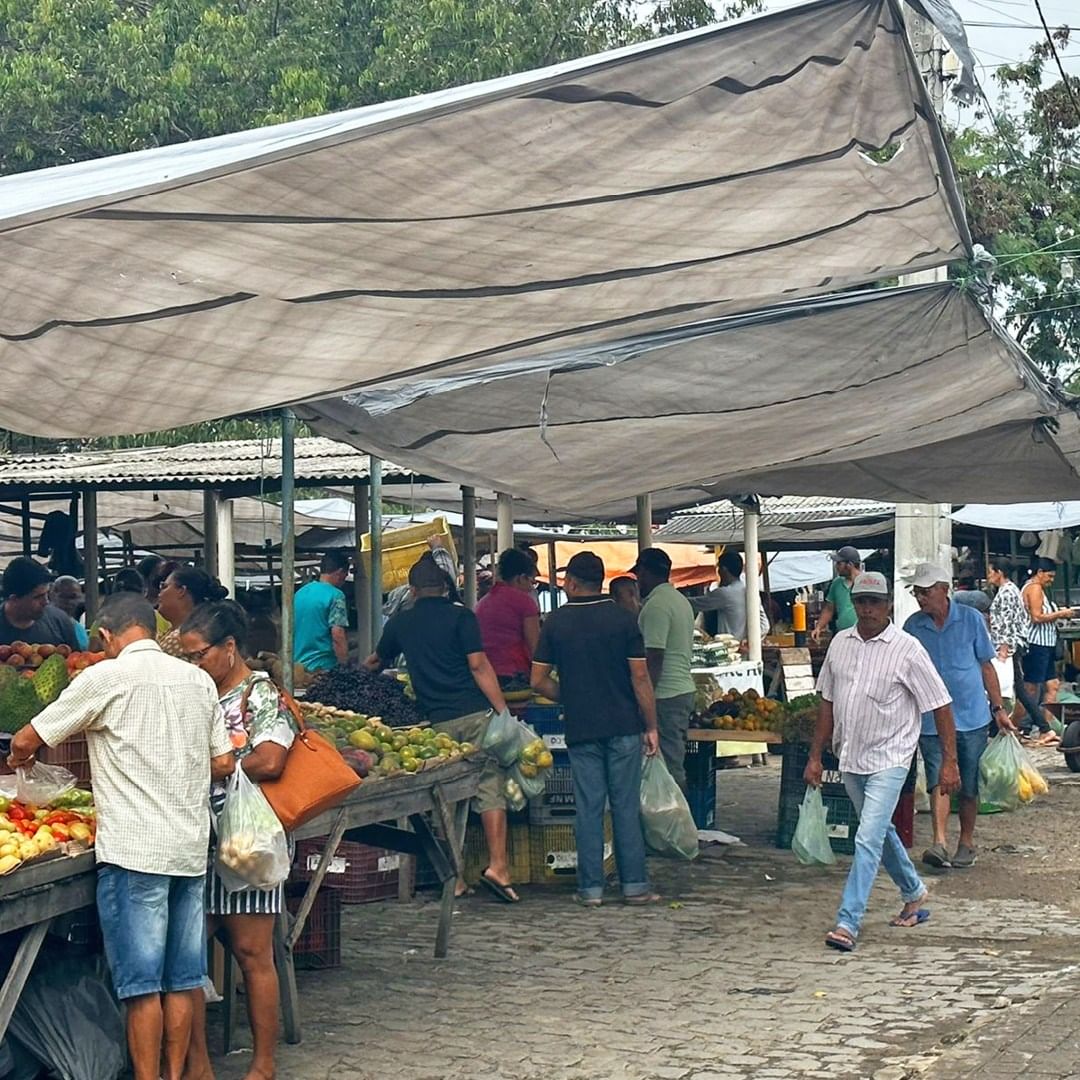 Colégio Apoio