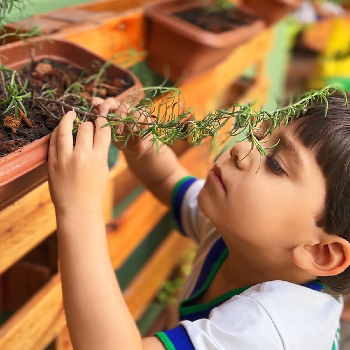 Educação Infantil no Colégio Apoio: um universo de descobertas